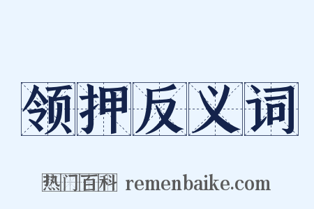 领押反义词是什么意思的图片